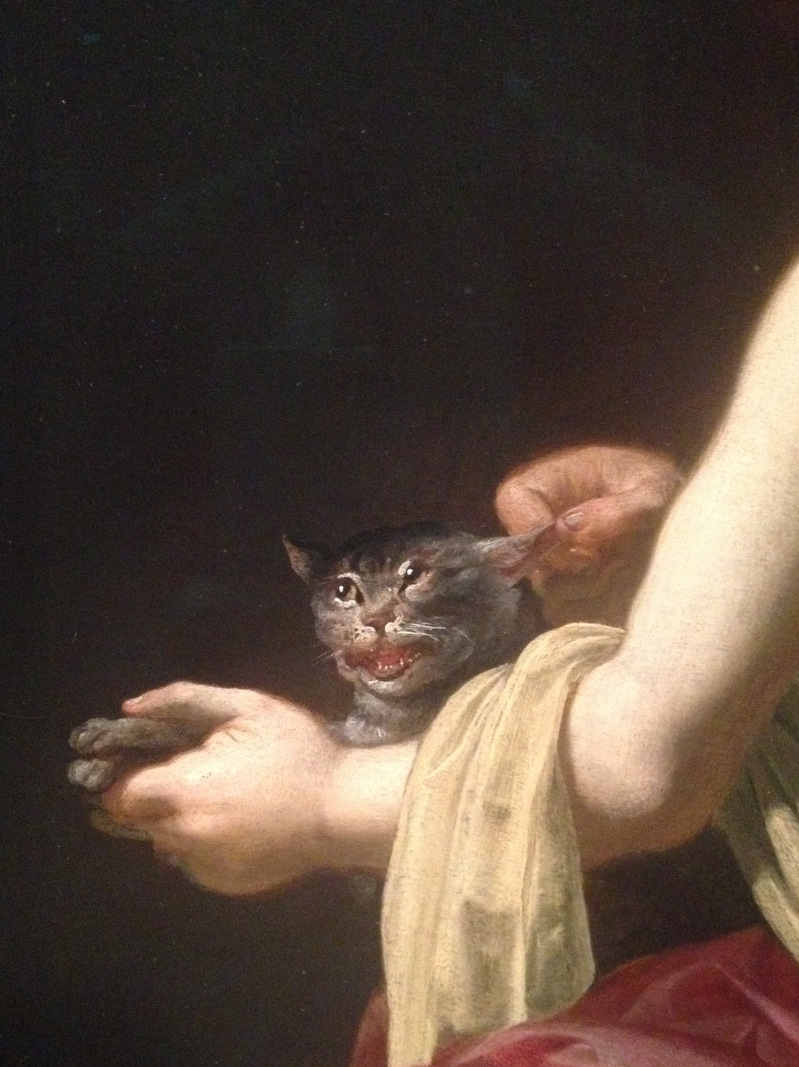 The cat getting teased in Jan van Bijlert's "Girl Teasing a Cat."